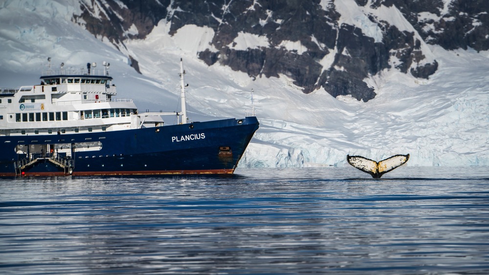 Oceanwide Expeditions